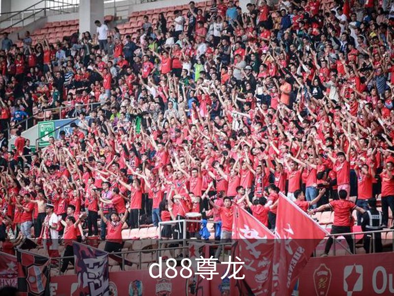 关于d88尊龙